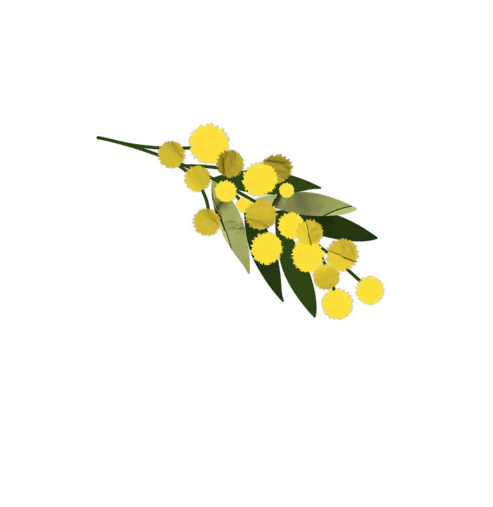 CDR0004_ROI_Site_Registration_Form_Wattle1_v1a